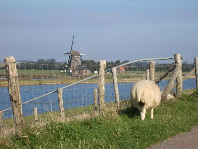 Oosterend (c) Markus Lenk